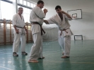 Karate 2011.szept_1